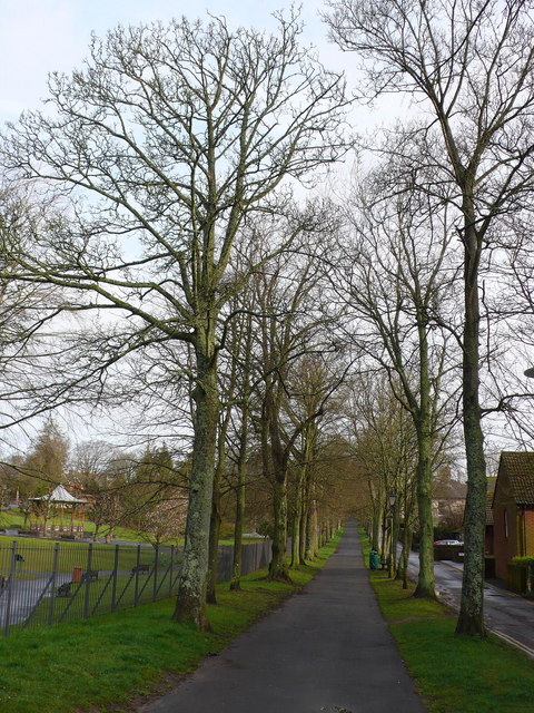 West Walks 2008